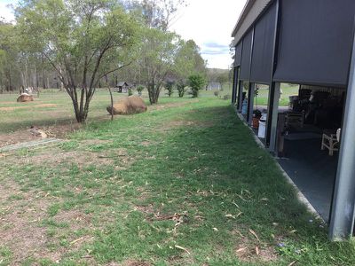 1529 Memerambi Barkers Creek Road, Kingaroy