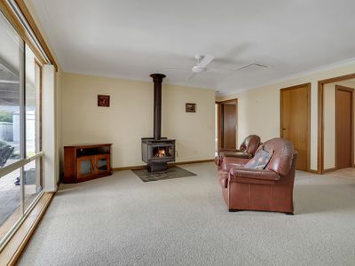 15 David Street, Hamilton