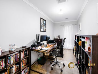 126 Thoroughbred Drive, Clyde North