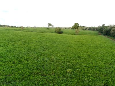 2583  Isabella McIvor Road , Cooktown