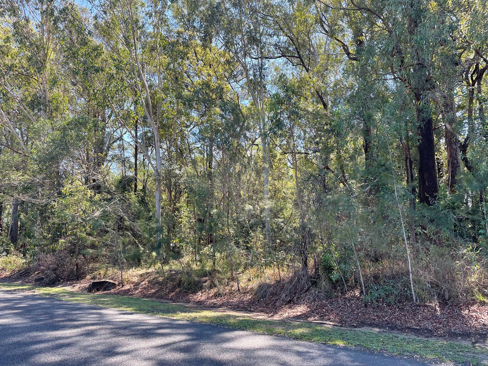 Lot 1 Cook Road, Glass House Mountains