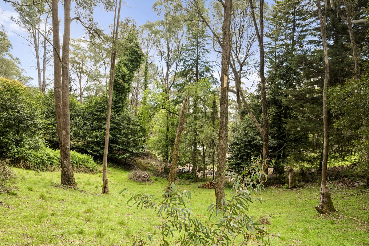 25 Rosella Street, Sawmill Settlement