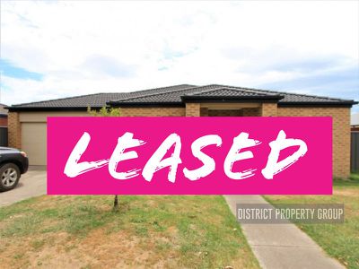5 Stewart Street, Mansfield