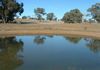 * Finches Road, Molong