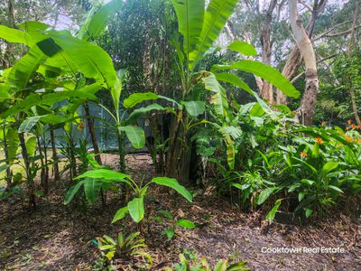 91 Boundary Street, Cooktown