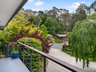 52 Wilpena Terrace, Aldgate