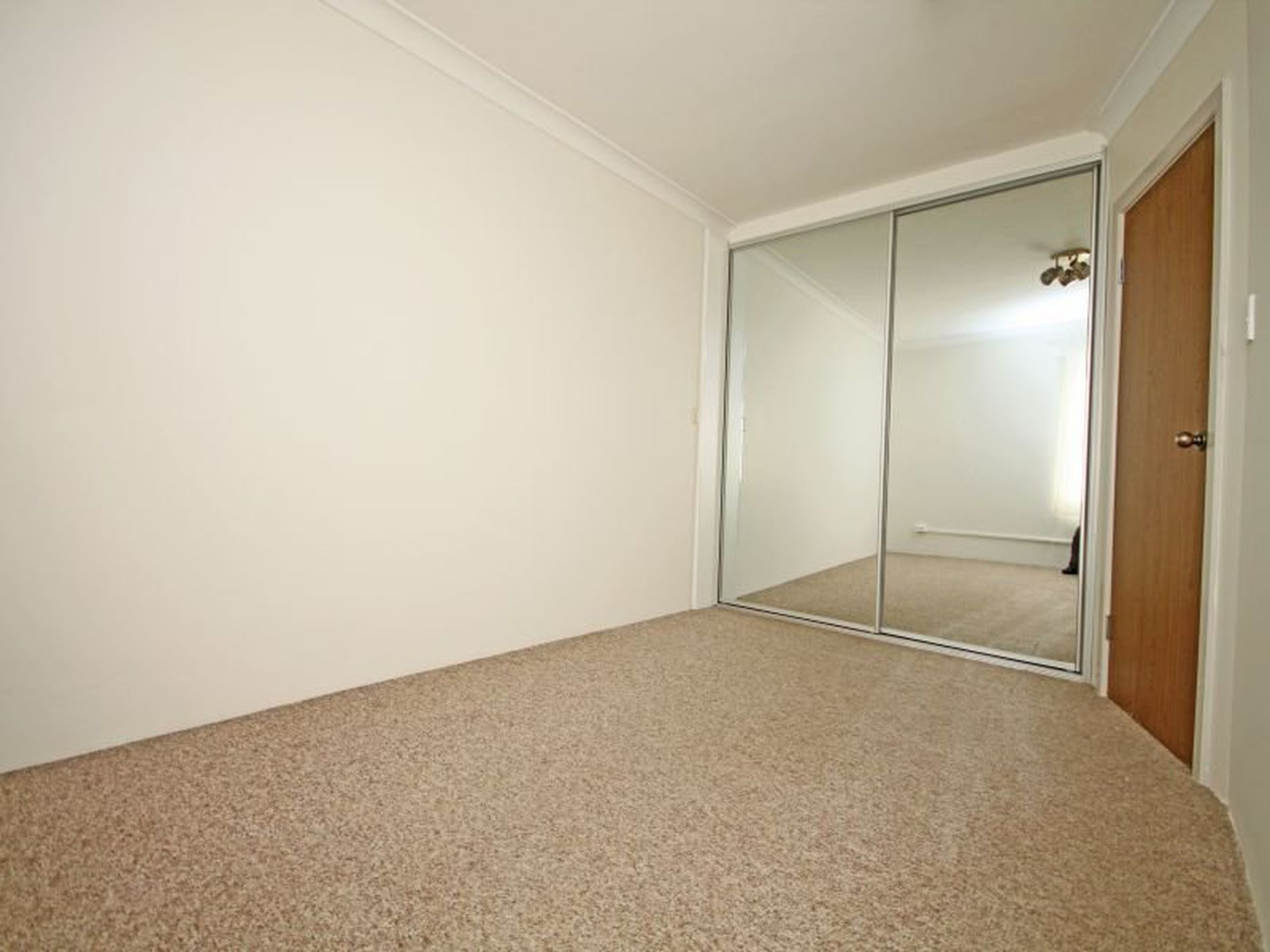 2 Allegra Street, Belmore