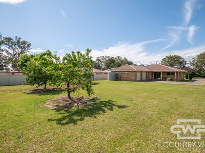 19 Potter Parade, Glen Innes