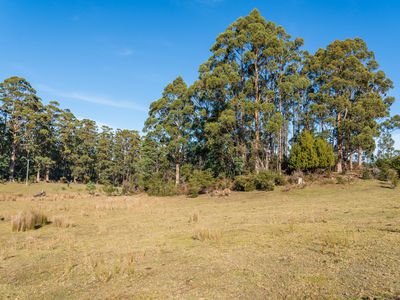 Lot 2 Sledge Hill Road , Glendevie