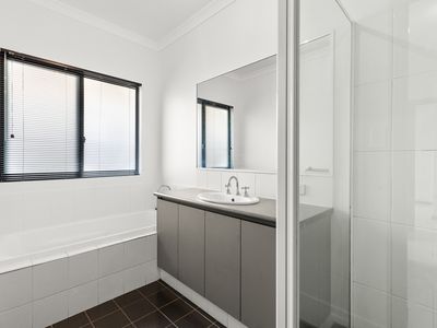 16 Anea Brace, Bilingurr