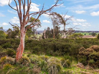 Lot 1, Austral Park Road, Parattah