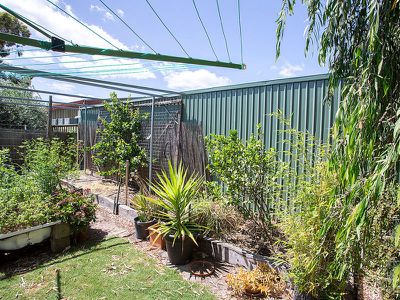 20 Bourlang Avenue, Camden Park