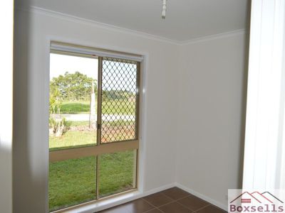 54 Palm, Maleny