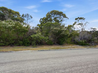 1 Moonbird Street, Lady Barron