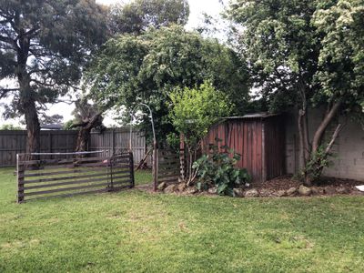 14 Hibiscus Crescent, Newcomb