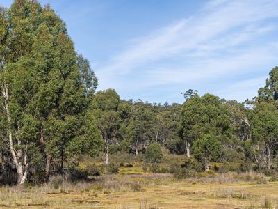 Lot 1, Lyell Highway, Derwent Bridge