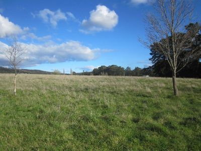 Lot 3 Cradoc Hill Road, Cradoc