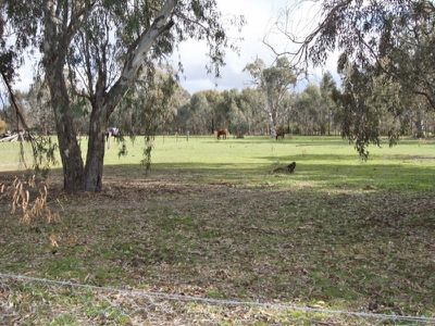 67 Highton lane, Mansfield