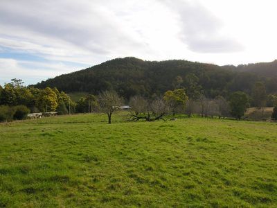 Sculthorpes Road, Nicholls Rivulet