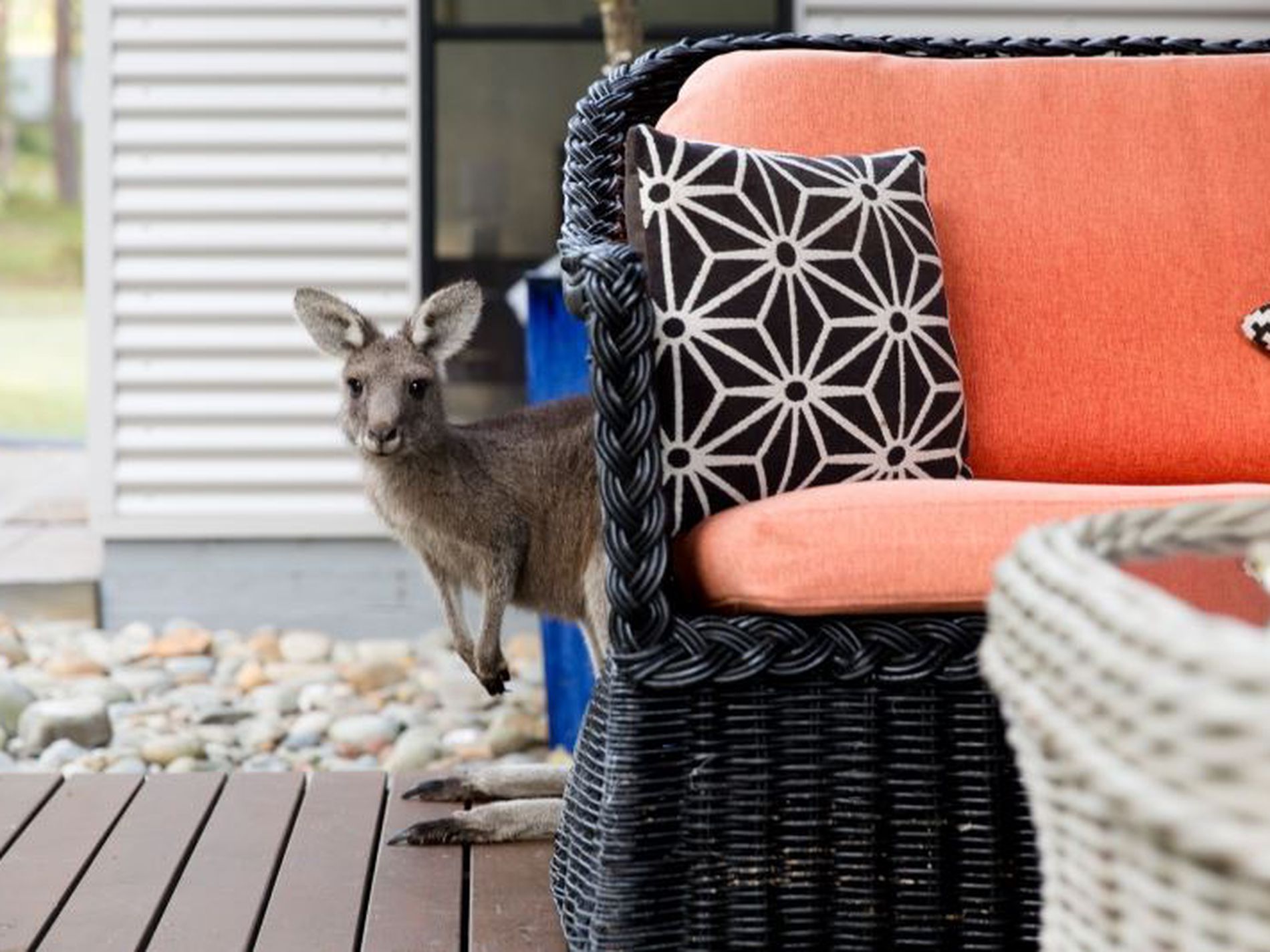 140C Narrawallee Creek Road, Lake Conjola