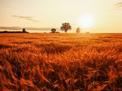 48 Livingston Boulevard, Forbes