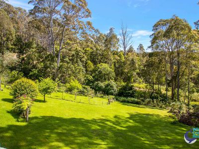 490 Punkalla Tilba Rd, Central Tilba