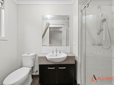 117 Swamphen Drive, Williams Landing