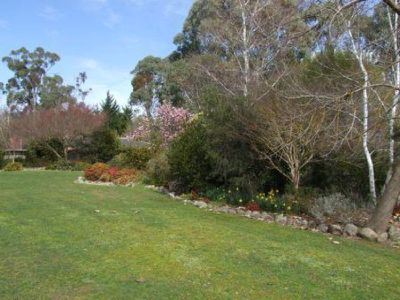 126 Damms Road , Tawonga