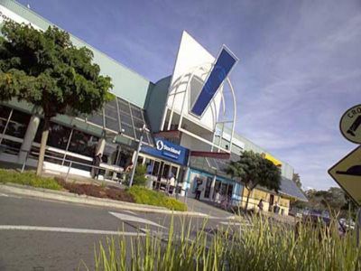 Mount Warrigal