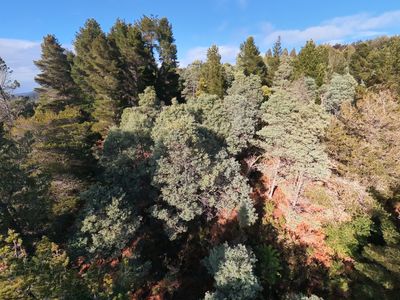 Lot 1, 2 & 3, Swamp Road, Franklin