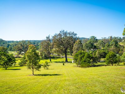 352 Bodalla Park Drive, Bodalla