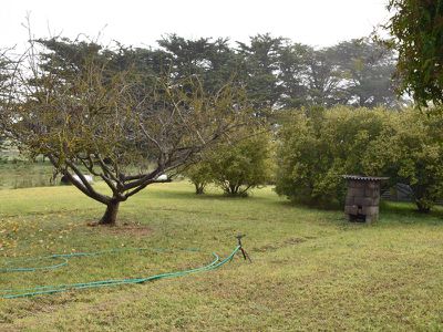 1044 Mount Hope Road Thornlea Via, Millicent