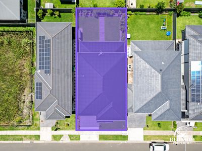 6 Driftwood Street, Box Hill