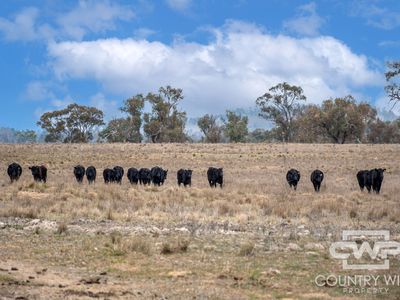 Lot Plain View South, 916 Emmaville Road, Glen Innes