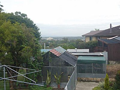 41 Greenview Avenue, Rochedale South