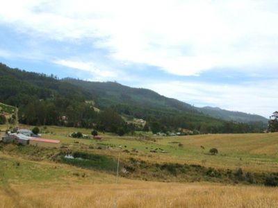 Huon Highway, Dover