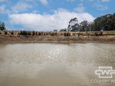 40 Catarrh Creek Road, Torrington