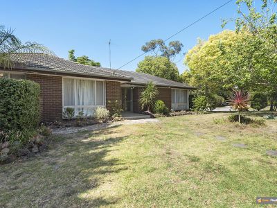 22 Sweet Gum Avenue, Narre Warren