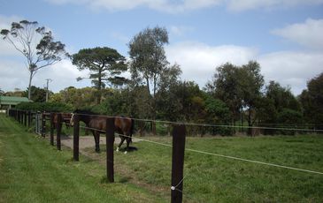 105 Jetty Lane, Lang Lang