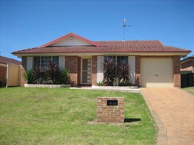 Blackbutt