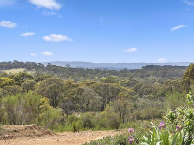 110 Bassett Lane, Hilldene