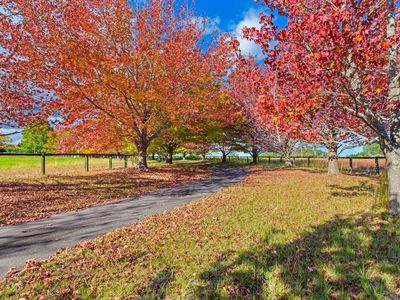 1309 Peats Ridge Road, Peats Ridge