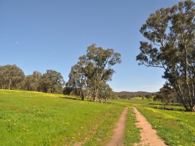 412 Vokins Creek Road, Little Billabong