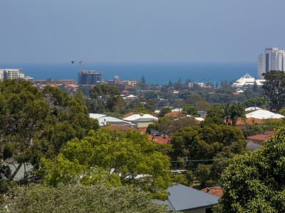 55 Paramatta Road, Doubleview