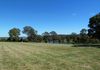 101 Strathnook Lane, Orange