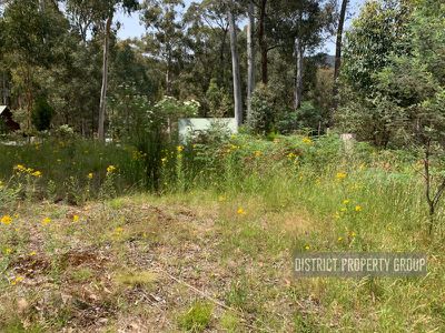 25 Christensen Street, Sawmill Settlement