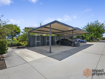 23 / 11 Starcevich Crescent, Jacka