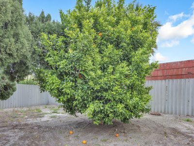 4 Isandra Close, Pinjarra