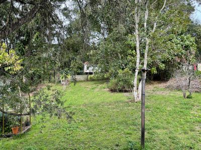 7 Cecil Street, Nimbin
