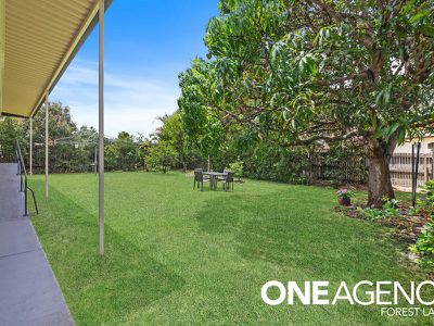 45 Bluejay St, Inala